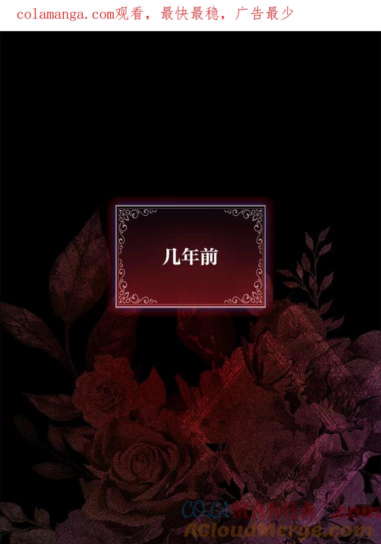 《大公家的狐狸皇女》31.魔法师会议 第1页