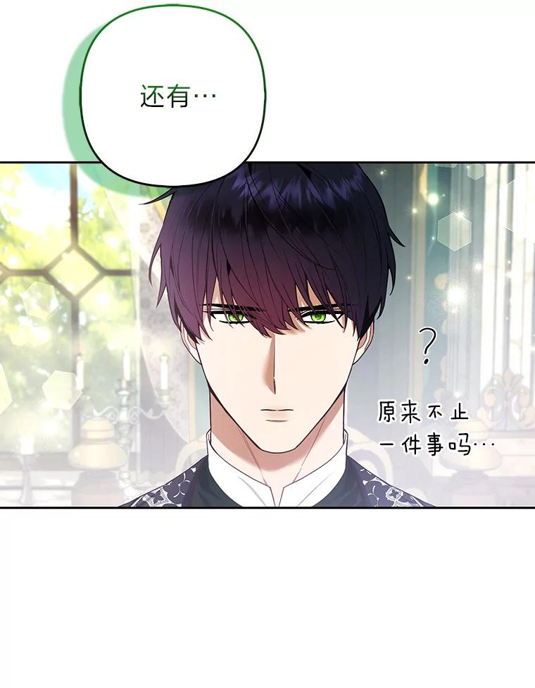 《大公家的狐狸皇女》31.魔法师会议 第58页