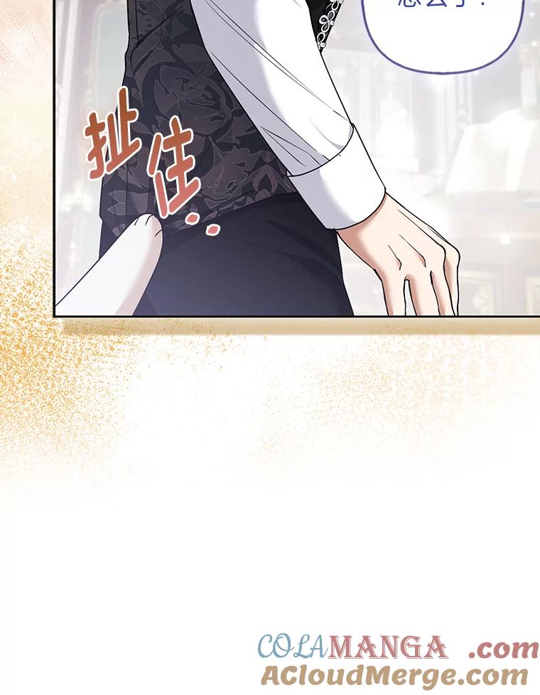 《大公家的狐狸皇女》31.魔法师会议 第65页