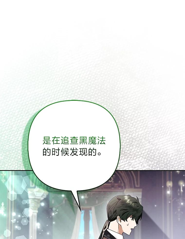《大公家的狐狸皇女》31.魔法师会议 第127页