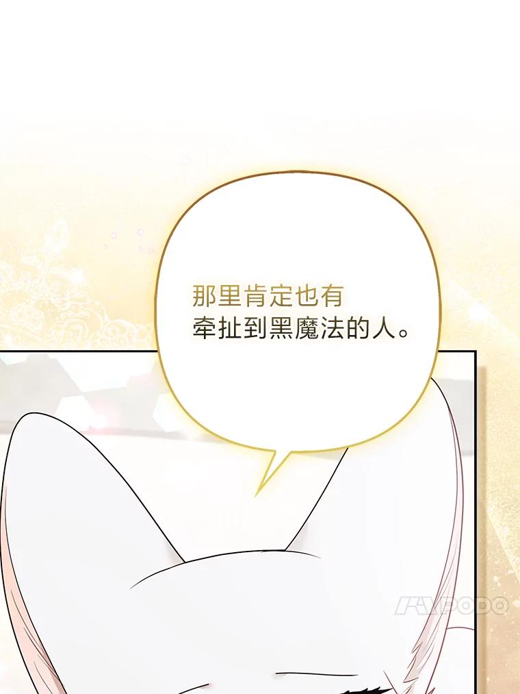《大公家的狐狸皇女》31.魔法师会议 第66页