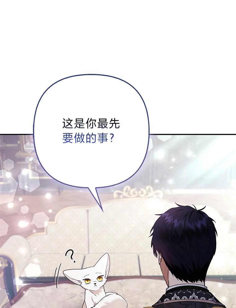 《大公家的狐狸皇女》31.魔法师会议 第118页