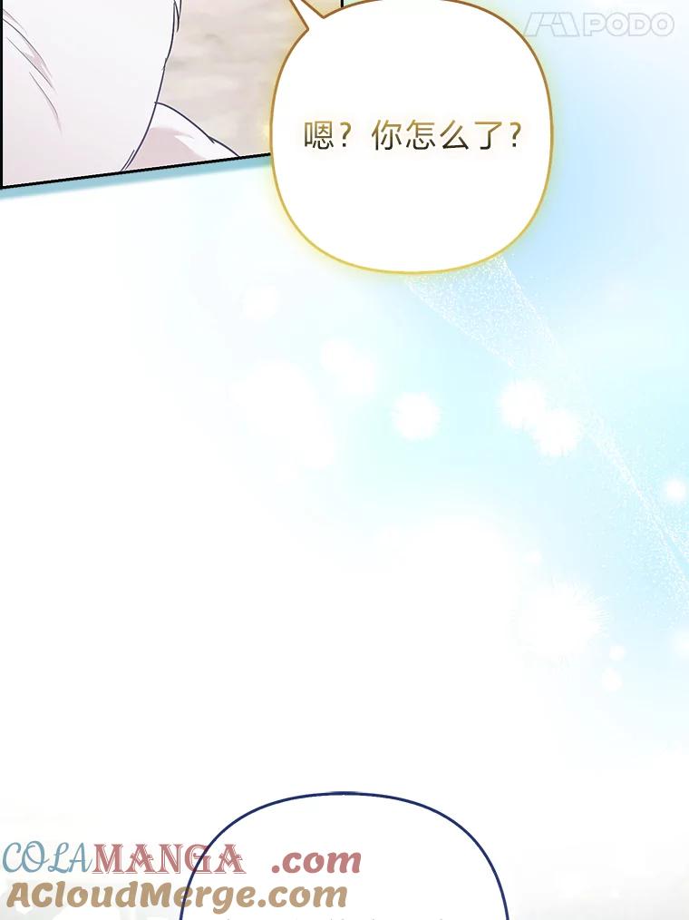 《大公家的狐狸皇女》31.魔法师会议 第113页