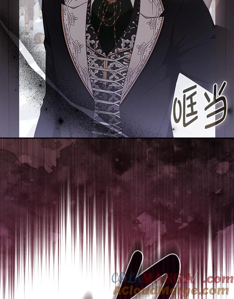《大公家的狐狸皇女》31.魔法师会议 第101页