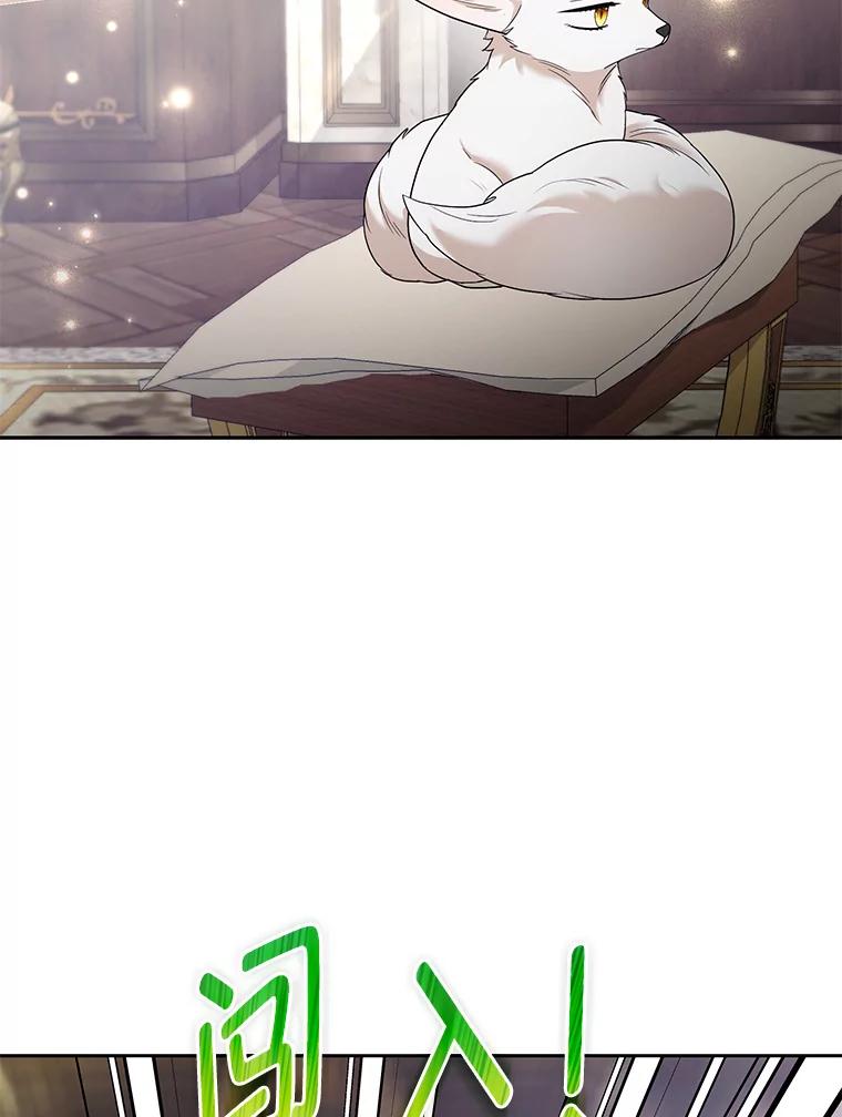 《大公家的狐狸皇女》31.魔法师会议 第32页