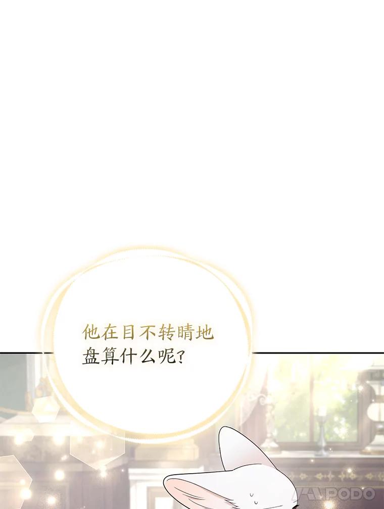 《大公家的狐狸皇女》31.魔法师会议 第31页