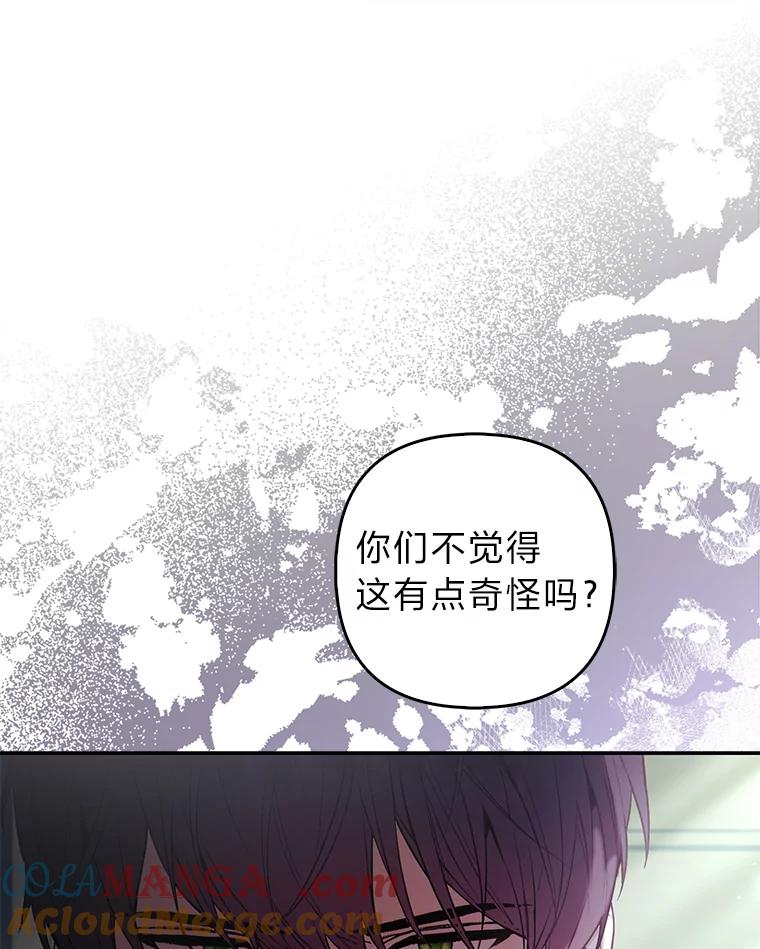 《大公家的狐狸皇女》31.魔法师会议 第85页