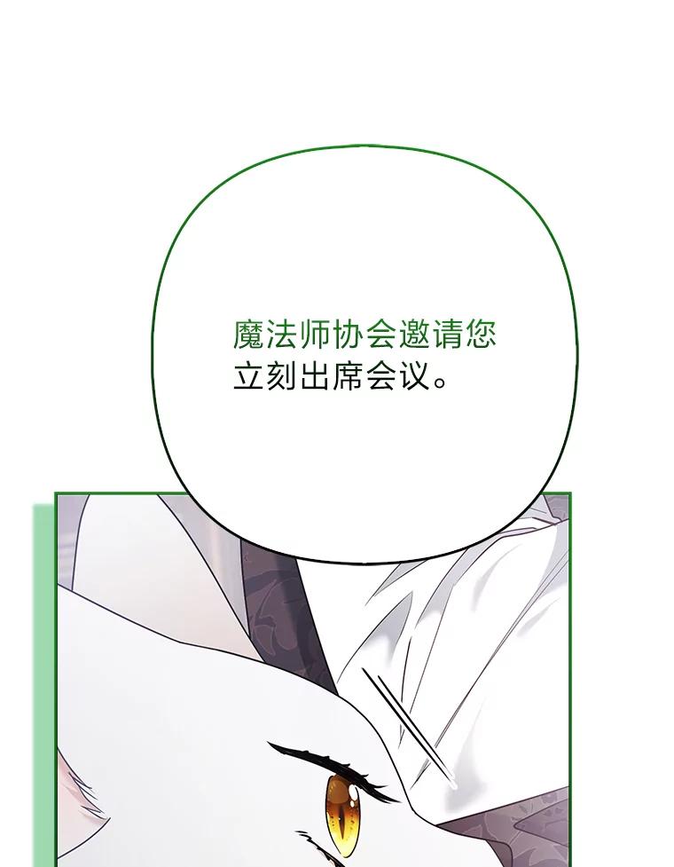 《大公家的狐狸皇女》31.魔法师会议 第59页