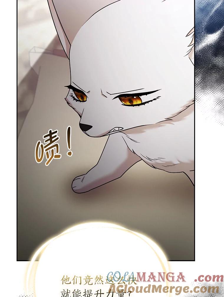 《大公家的狐狸皇女》31.魔法师会议 第49页