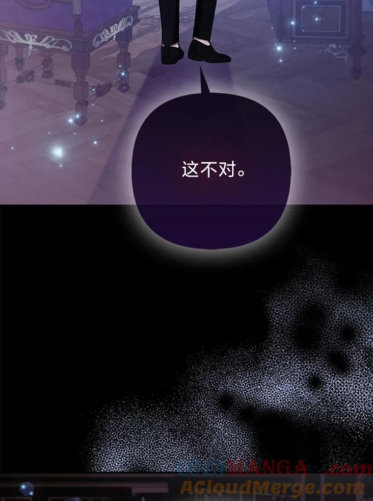 《大公家的狐狸皇女》31.魔法师会议 第9页