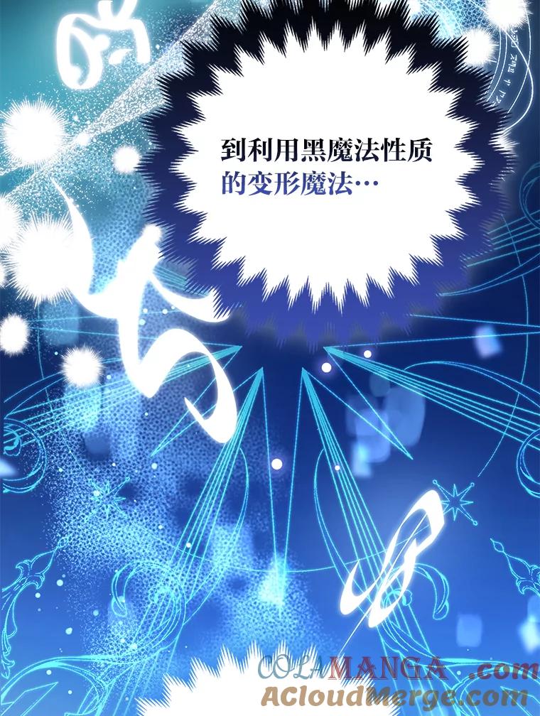 《大公家的狐狸皇女》31.魔法师会议 第25页