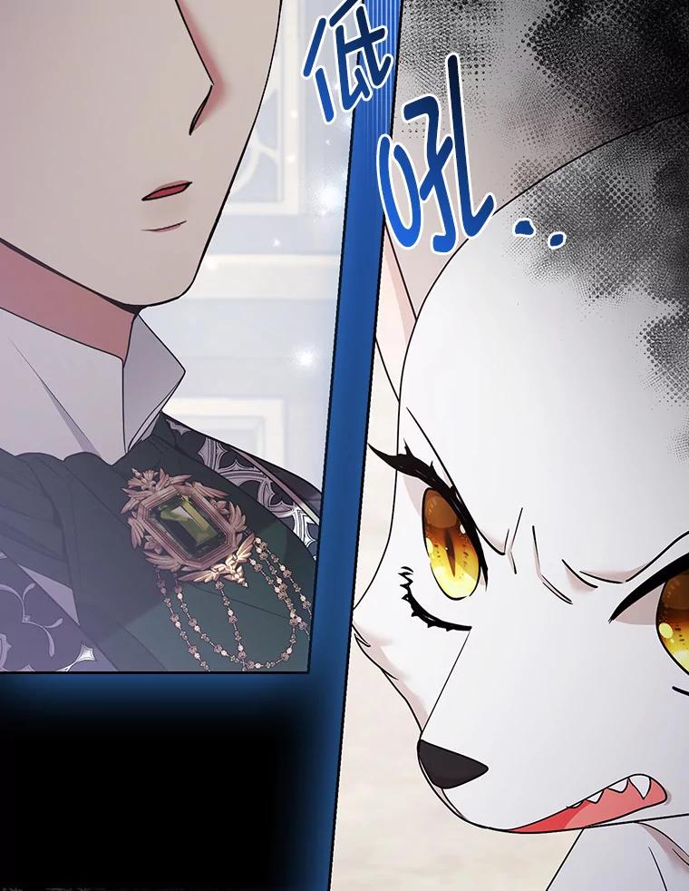 《大公家的狐狸皇女》31.魔法师会议 第131页