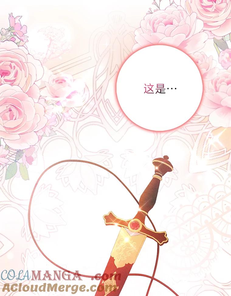 《消失的灰姑娘》30.短剑 第85页