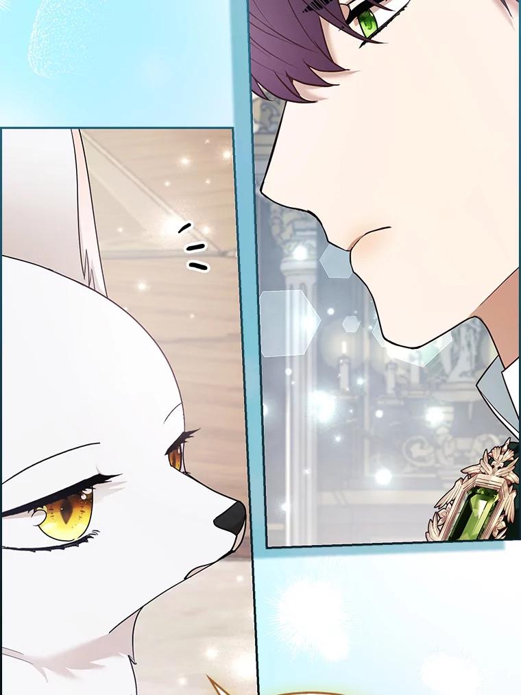 《大公家的狐狸皇女》31.魔法师会议 第112页