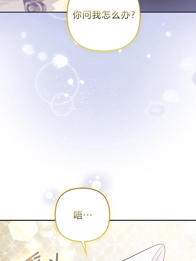《大公家的狐狸皇女》31.魔法师会议 第115页