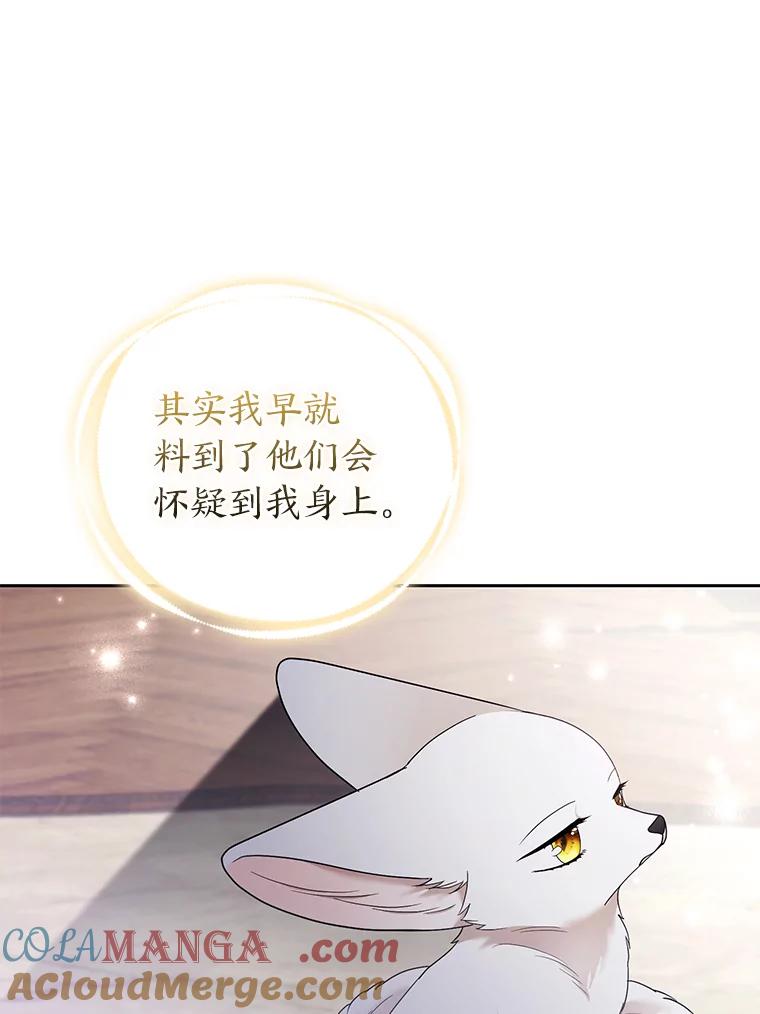 《大公家的狐狸皇女》31.魔法师会议 第105页