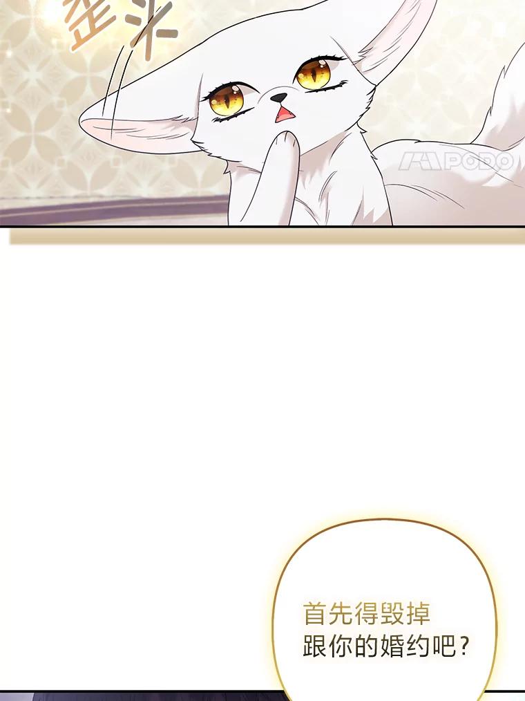 《大公家的狐狸皇女》31.魔法师会议 第116页