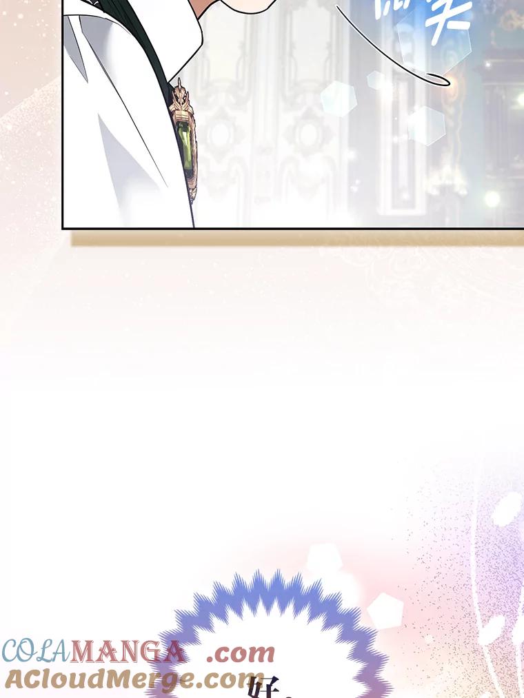 《大公家的狐狸皇女》31.魔法师会议 第69页