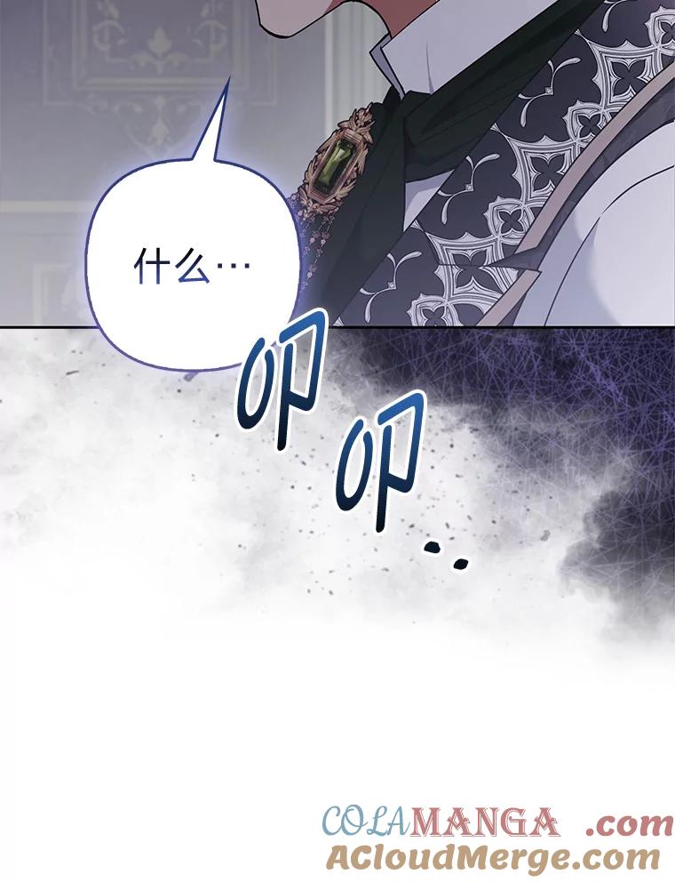 《大公家的狐狸皇女》31.魔法师会议 第121页