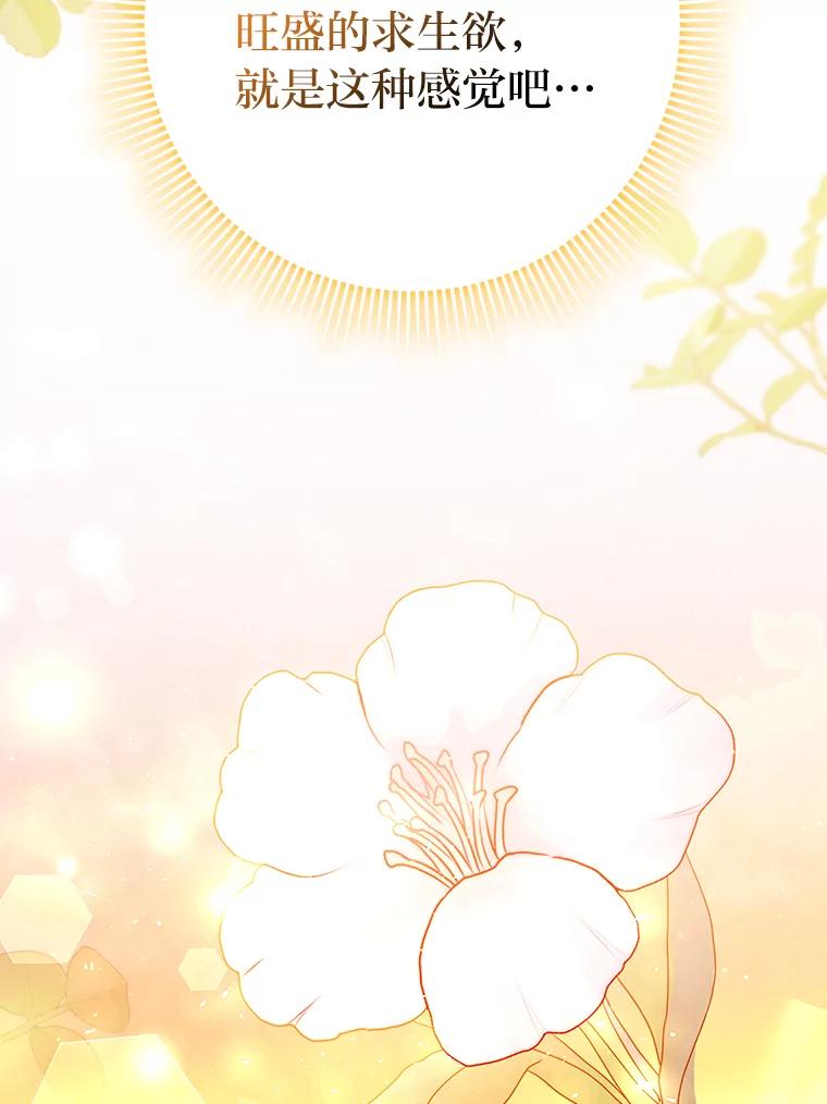 《消失的灰姑娘》30.短剑 第63页