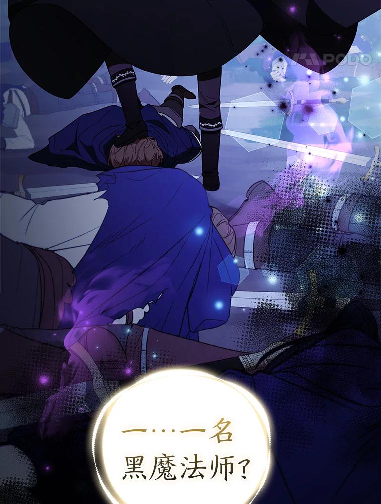 《大公家的狐狸皇女》31.魔法师会议 第47页