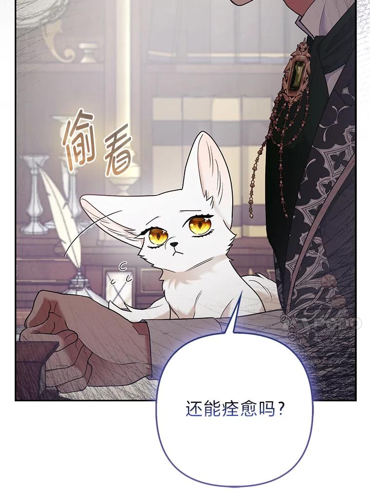 《大公家的狐狸皇女》31.魔法师会议 第40页