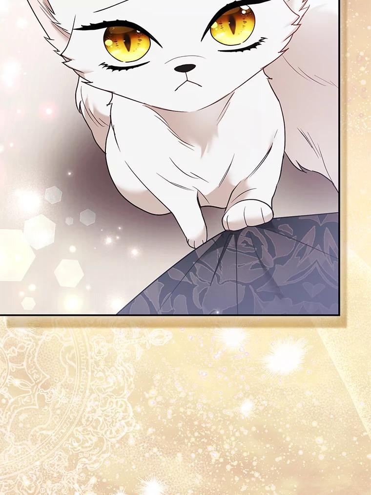 《大公家的狐狸皇女》31.魔法师会议 第67页