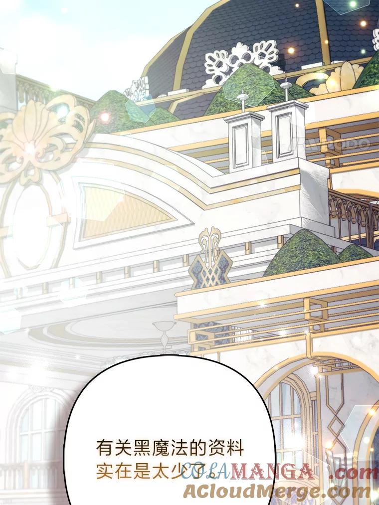 《大公家的狐狸皇女》31.魔法师会议 第73页