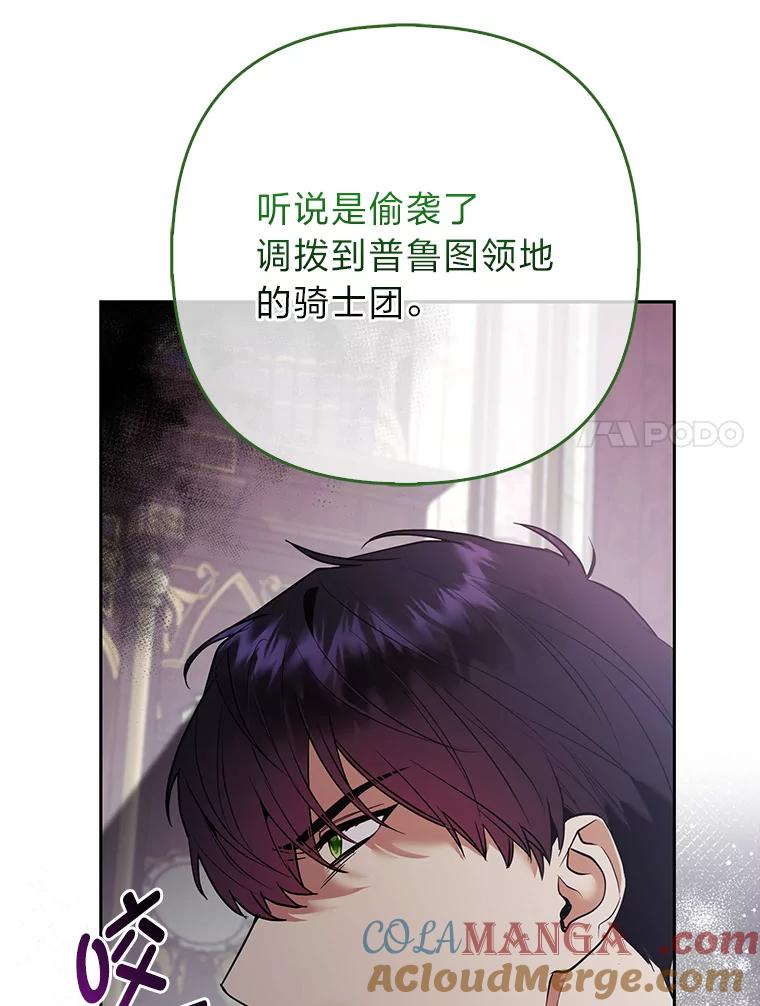 《大公家的狐狸皇女》31.魔法师会议 第37页