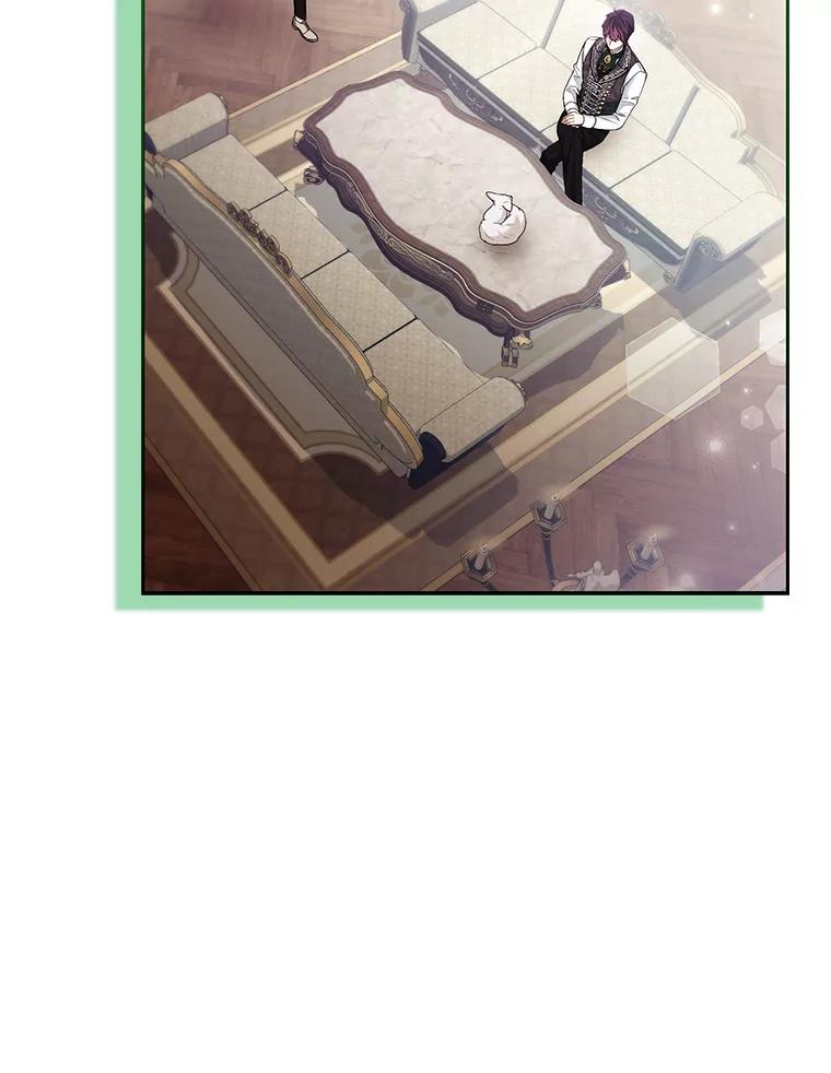 《大公家的狐狸皇女》31.魔法师会议 第123页