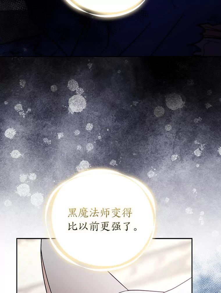 《大公家的狐狸皇女》31.魔法师会议 第48页