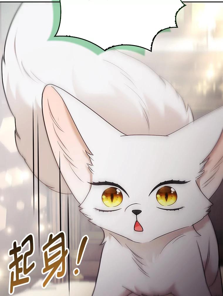 《大公家的狐狸皇女》31.魔法师会议 第35页