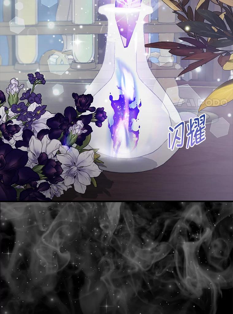 《大公家的狐狸皇女》31.魔法师会议 第7页