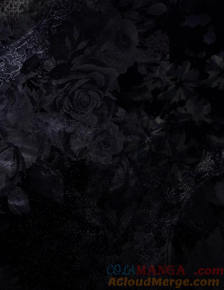 《大公家的狐狸皇女》31.魔法师会议 第133页
