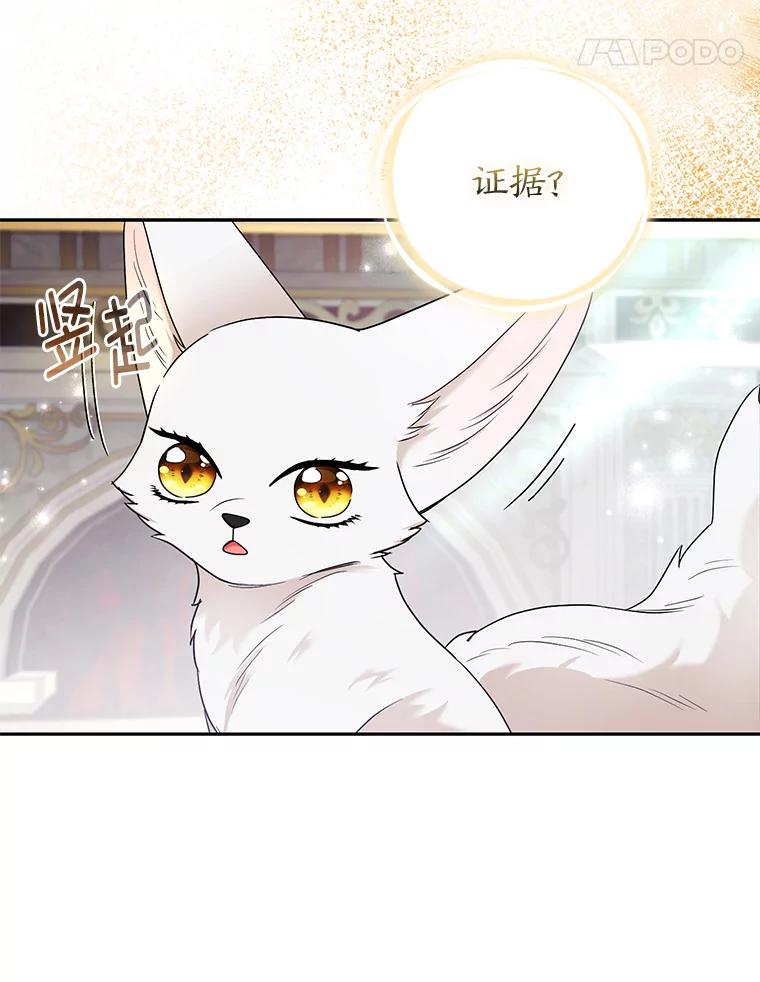 《大公家的狐狸皇女》31.魔法师会议 第126页