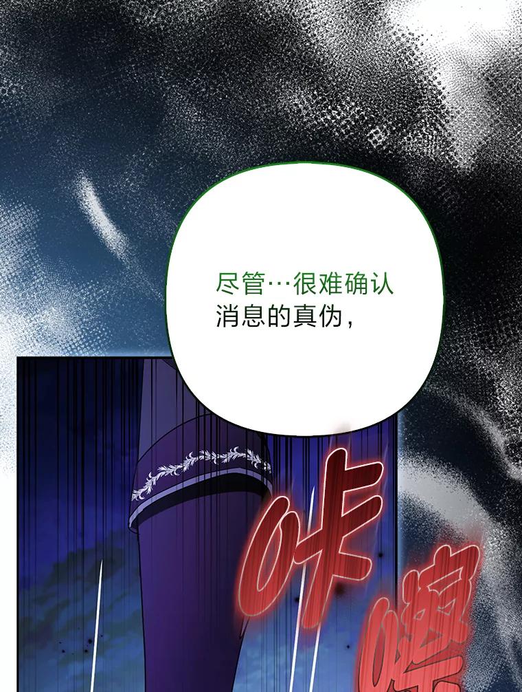 《大公家的狐狸皇女》31.魔法师会议 第44页
