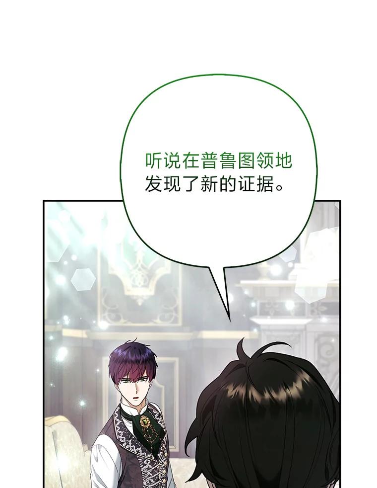 《大公家的狐狸皇女》31.魔法师会议 第124页