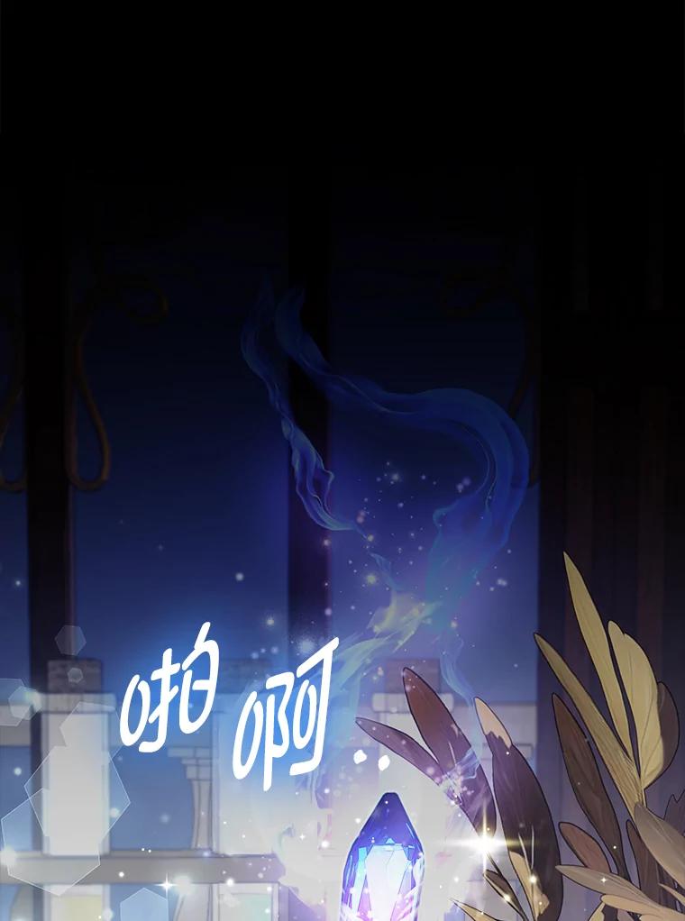 《大公家的狐狸皇女》31.魔法师会议 第6页