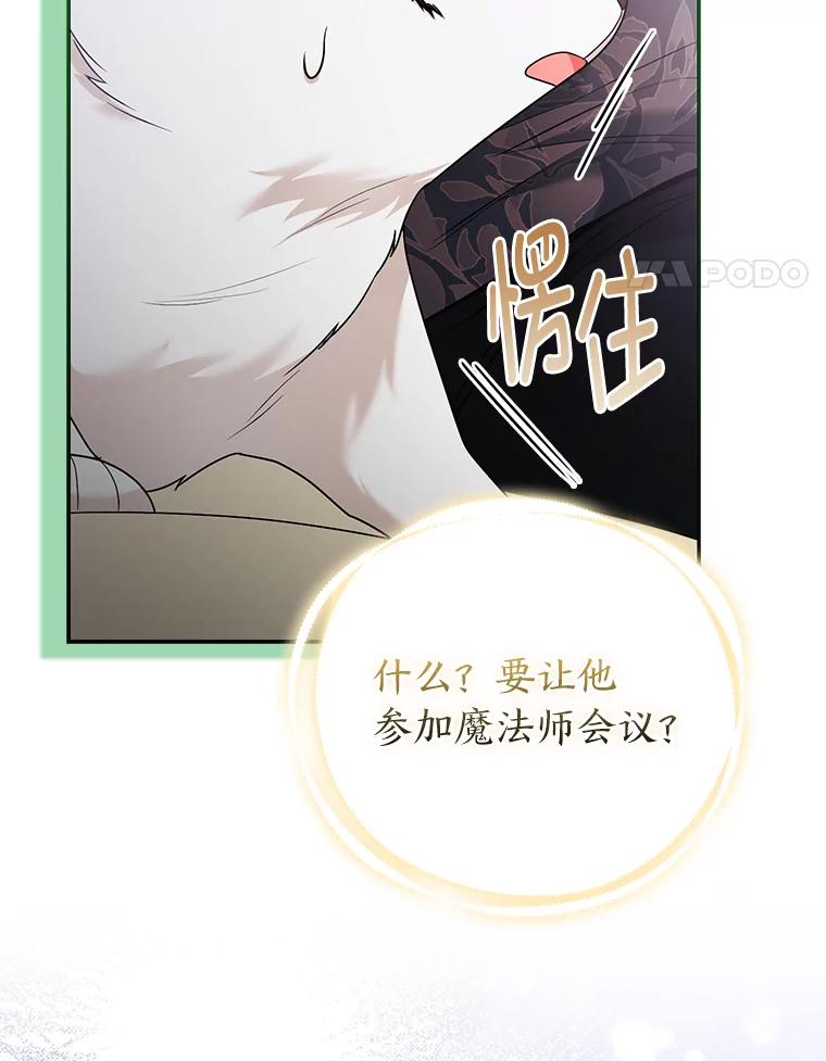 《大公家的狐狸皇女》31.魔法师会议 第60页