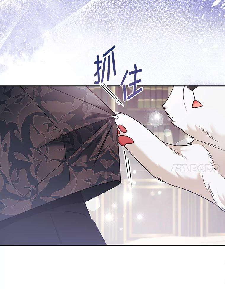 《大公家的狐狸皇女》31.魔法师会议 第63页