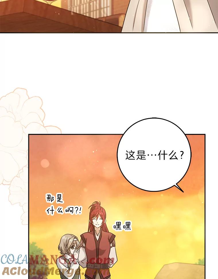 《消失的灰姑娘》30.短剑 第82页