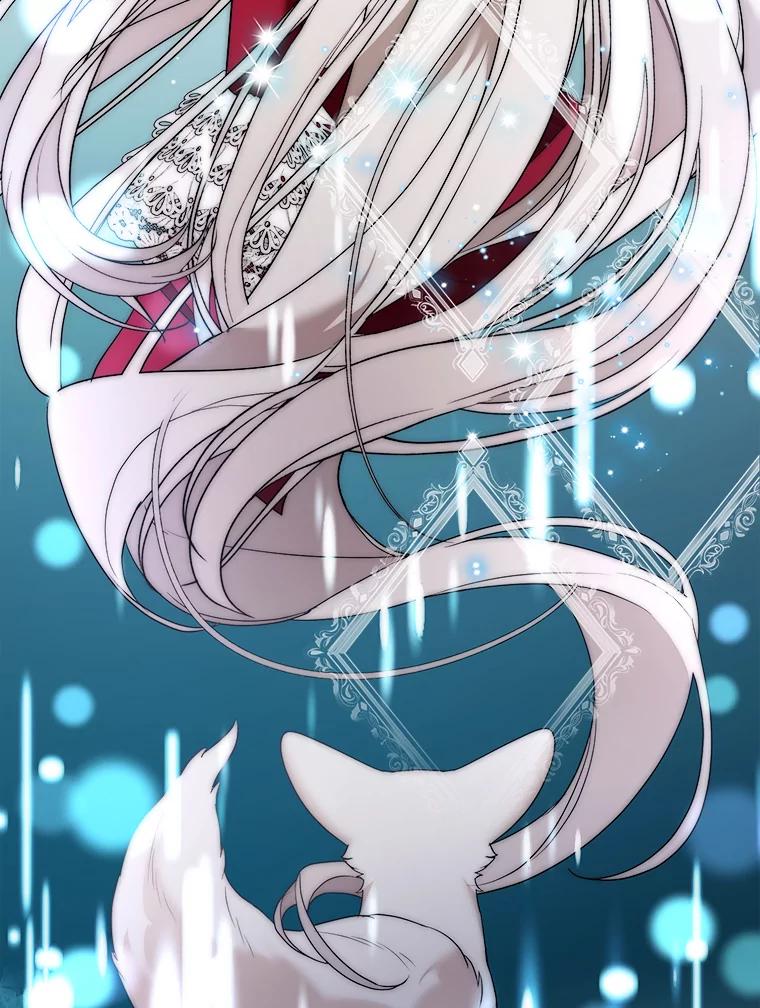 《大公家的狐狸皇女》31.魔法师会议 第28页