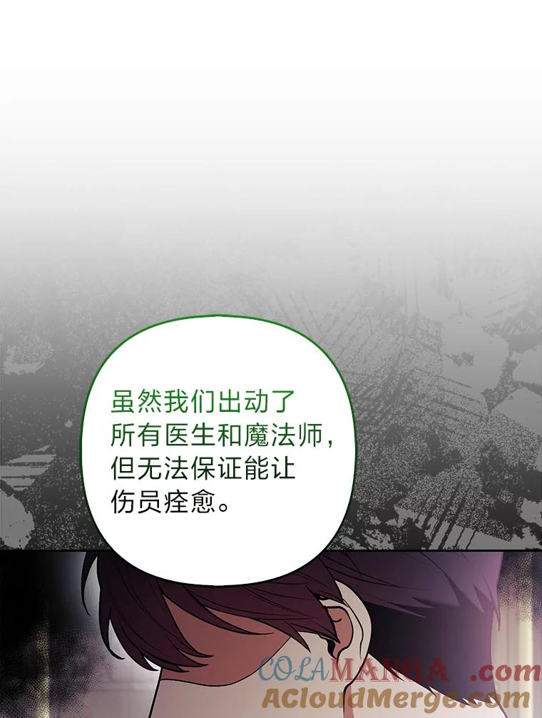 《大公家的狐狸皇女》31.魔法师会议 第41页