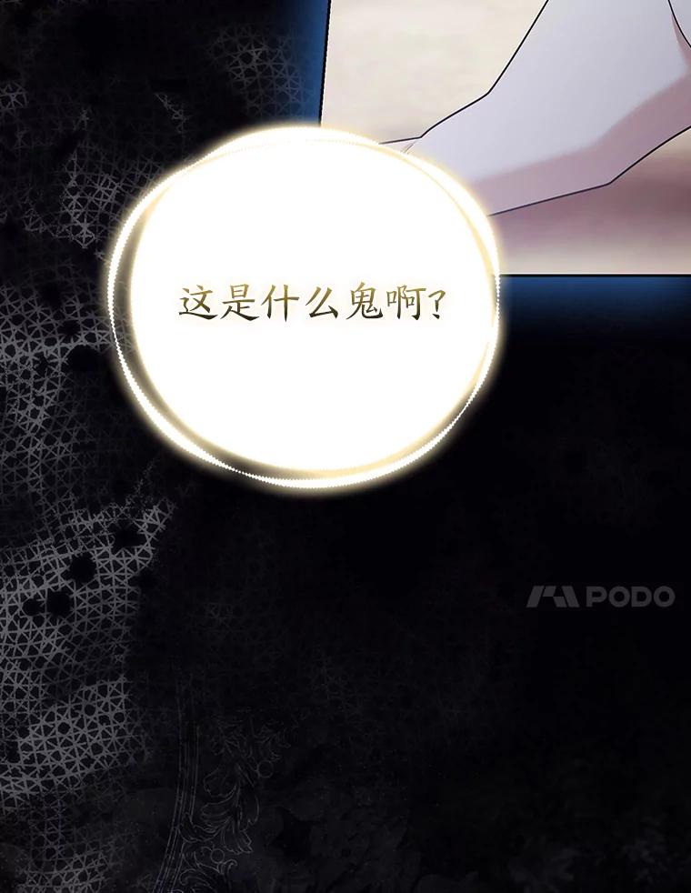 《大公家的狐狸皇女》31.魔法师会议 第132页