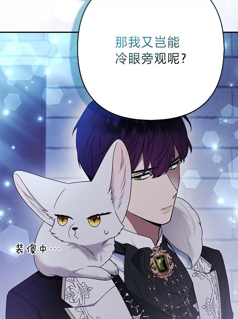 《大公家的狐狸皇女》32.墙倒众人推 第107页