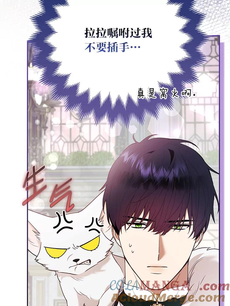 《大公家的狐狸皇女》32.墙倒众人推 第77页