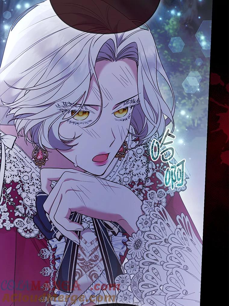 《大公家的狐狸皇女》32.墙倒众人推 第33页
