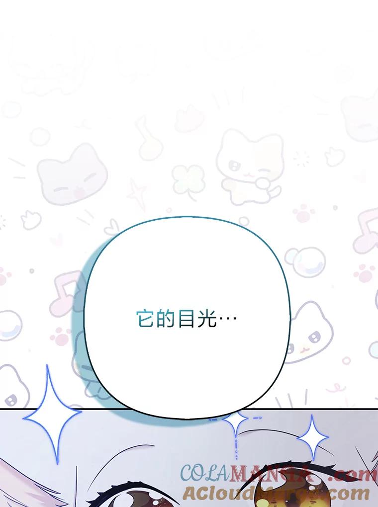 《大公家的狐狸皇女》32.墙倒众人推 第113页