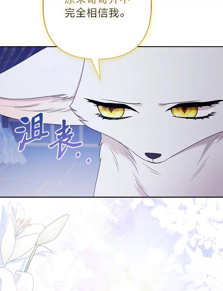 《大公家的狐狸皇女》33.不断逃避… 第70页