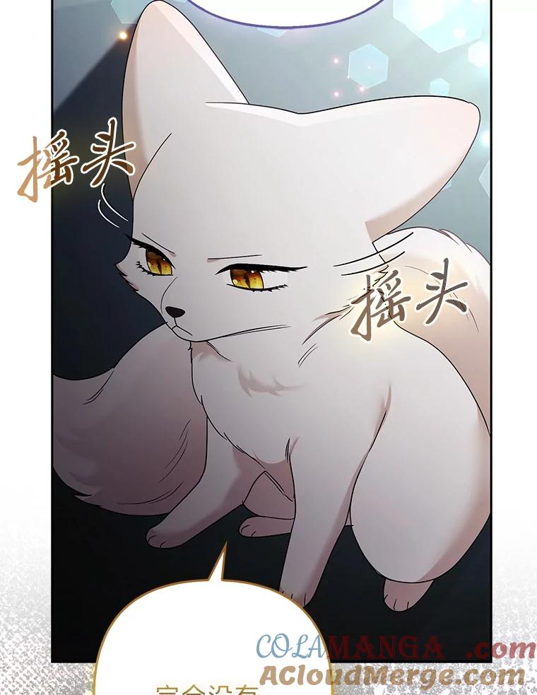 《大公家的狐狸皇女》33.不断逃避… 第37页